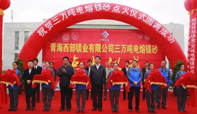 镁砂价格动态解析：市场需求与供应博弈